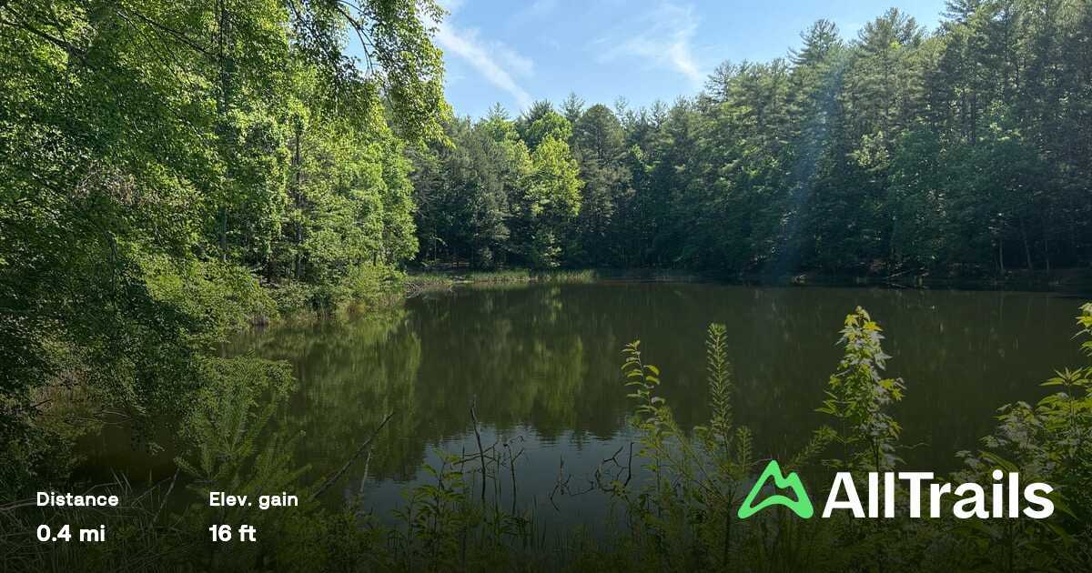 Allen Branch Pond