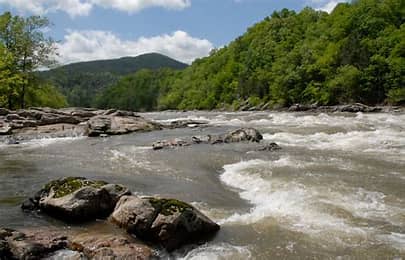 French Broad River