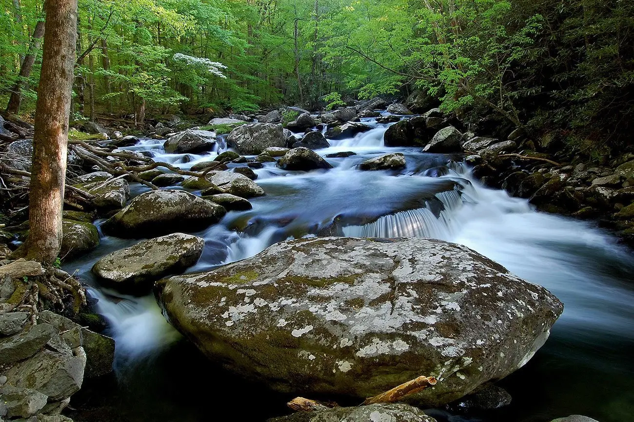 A scenic stream in the Great Smoky Mountains National Park.